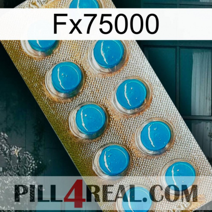 Fx75000 new09